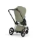 Детская коляска Cybex Priam V Style 2 в 1 Sage Green