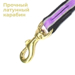 Шейник для упряжки собак