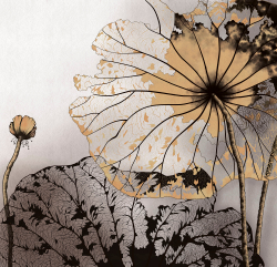 Коллекция Grafika Natura
