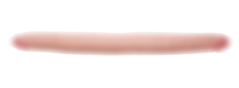 Двусторонний фаллоимитатор Naughty Instinct 5570-03Lola