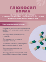 Глюкосил Норма, 120 капс Поддержка здоровья при сахарном диабете и метаболическом синдроме