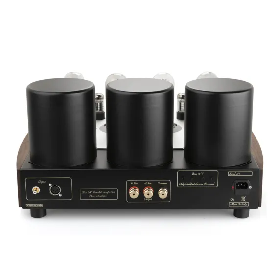 Mastersound PF100 Limited Black Wood