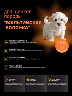 Quattro корм для щенков породы Мальтийская болонка, с индейкой, 6 кг, QUATTRO
