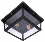 Накладной светильник Loft it Modern Filament LOFT3110-2C