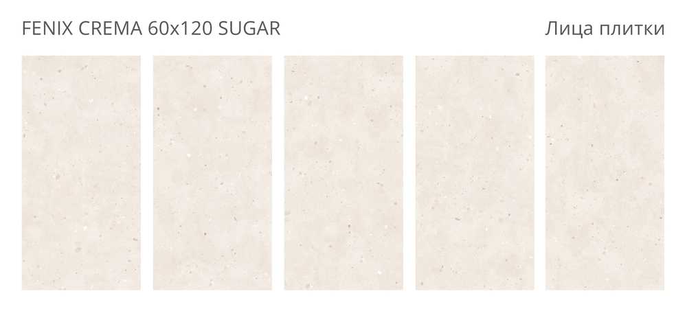 FENIX CREMA 60x120 SUGAR
