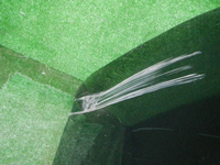DSCN5907.JPG