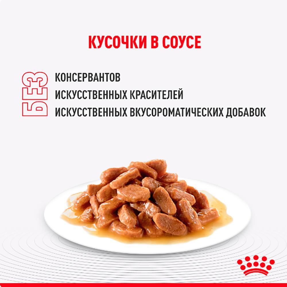 Корм влажный для стерилизованных кошек живущих в помещении кусочки в соусе, 85гр Royal Canin Indoor Sterilised