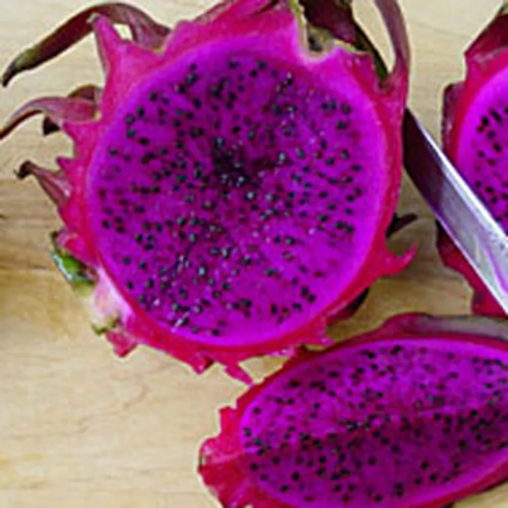 Питахайя семена Hylocereus (Красная Мякоть) семена