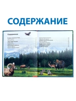 Детская энциклопедия Энциклопедия Животных