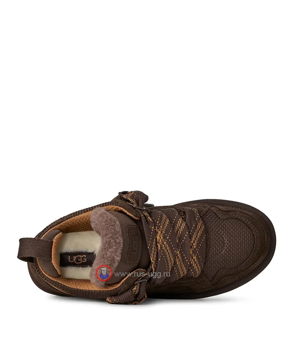 UGG MEN'S LOWMEL TRAINER Dusted Cocoa