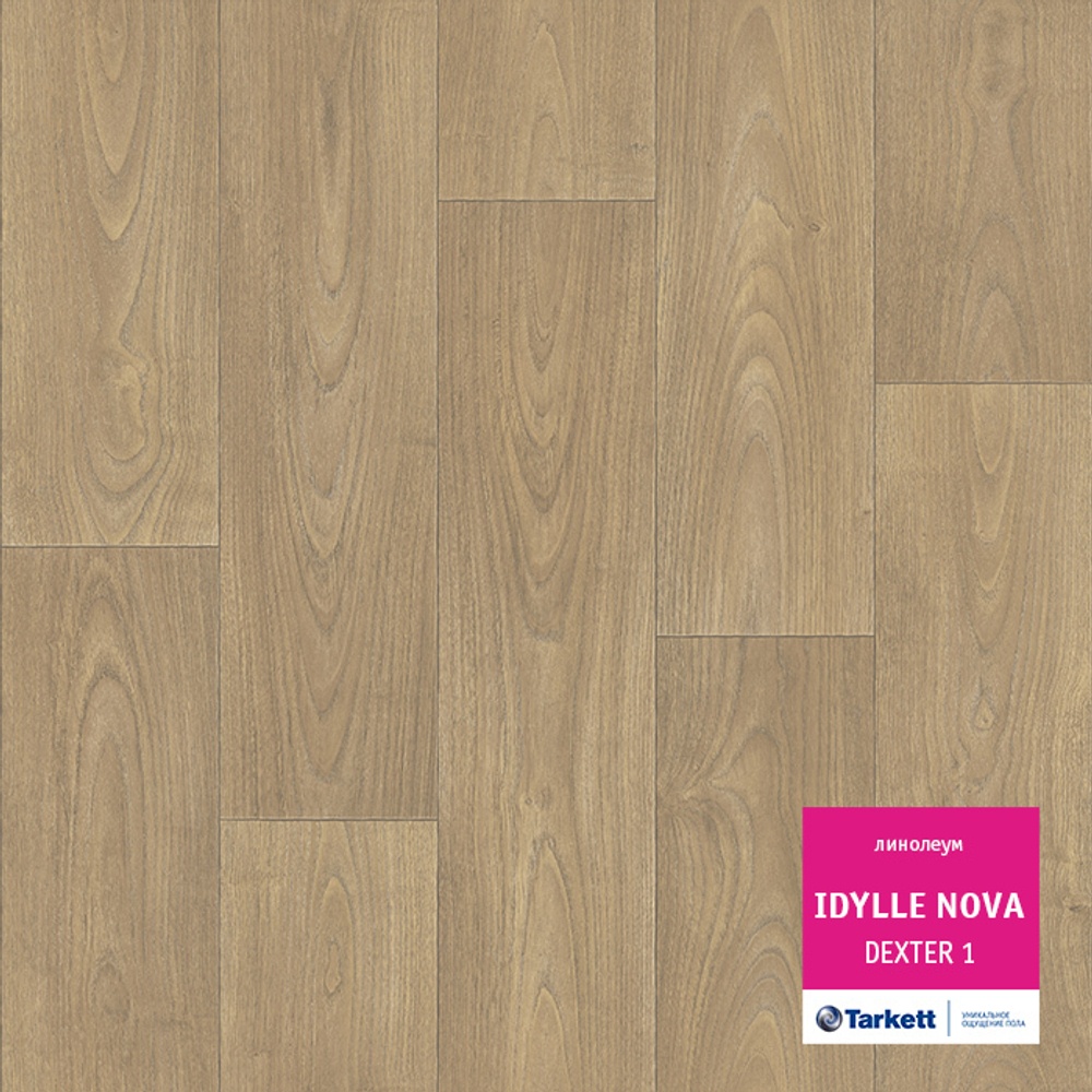 Линолеум Tarkett IDYLLE NOVA DEXTER 1, Ширина рулона: 2м