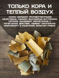 Кора осины молодая