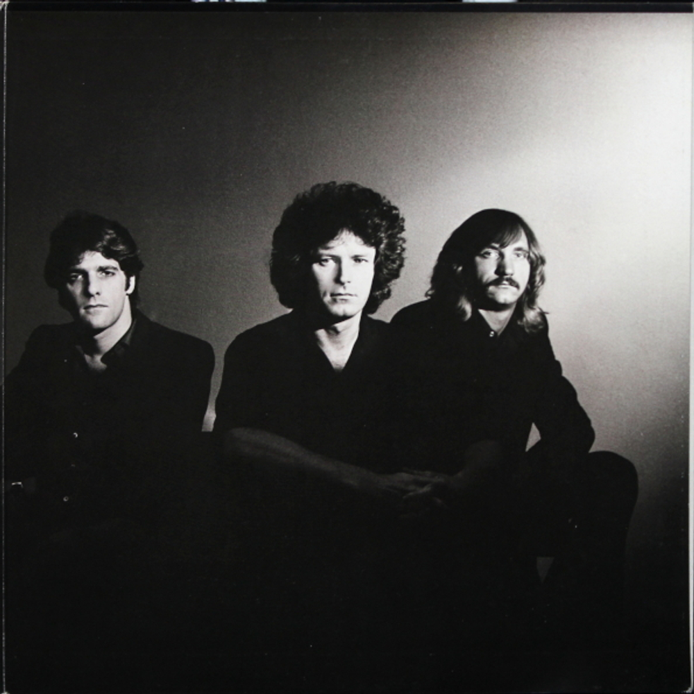 Eagles / The Long Run (LP)
