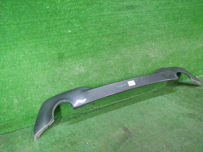DSCN9742.JPG