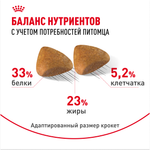 Royal Canin Sphynx Adult Сфинкс Эдалт Корм сухой сбалансированный для взрослых кошек породы Сфинкс от 12 месяцев 10кг