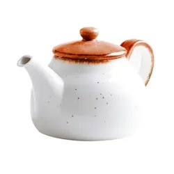 Чайник 600 мл d 13 см h11,5 см Orange Sky Fusion P.L. Proff Cuisine [1]