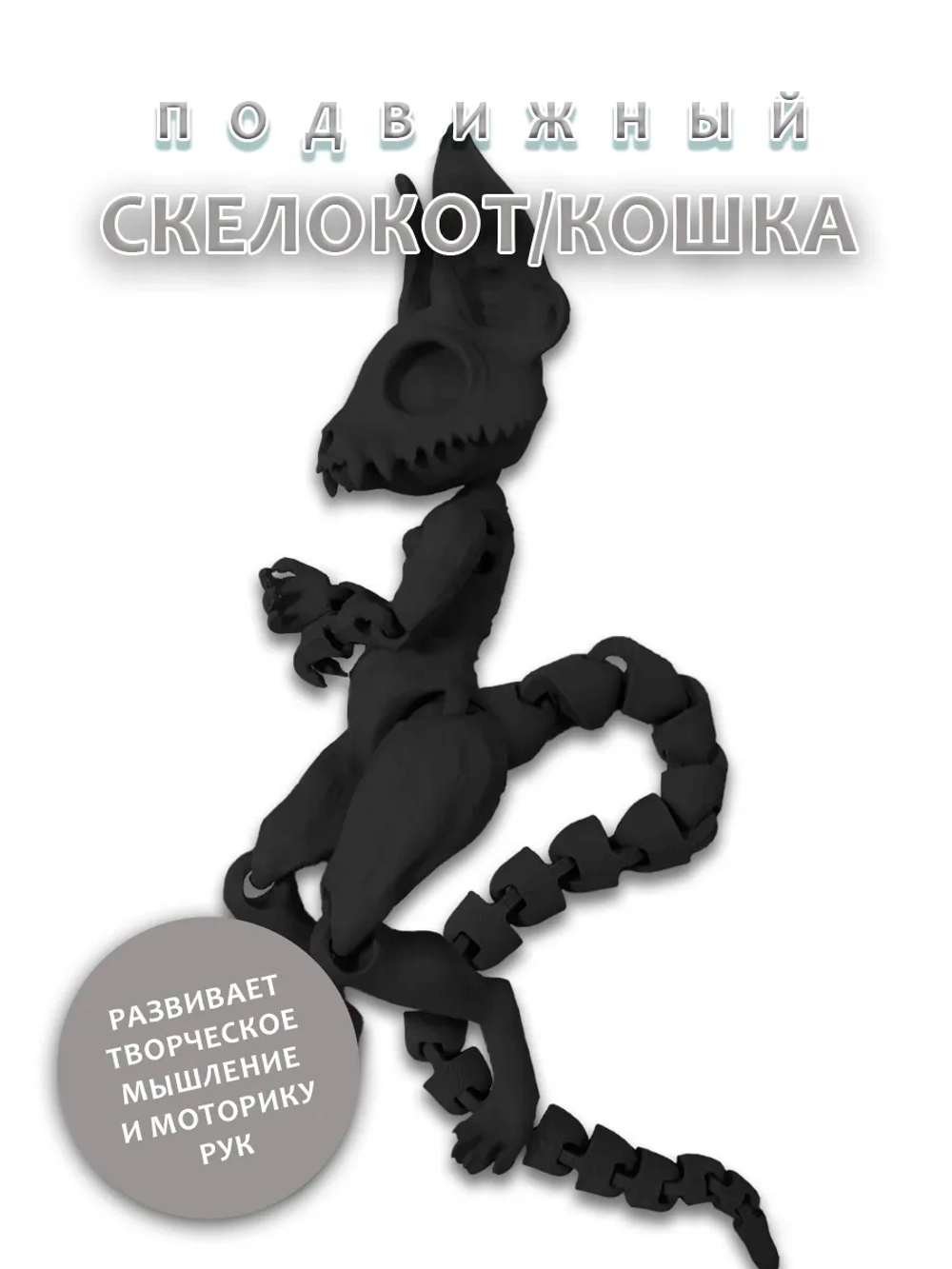 Скелет Кошки