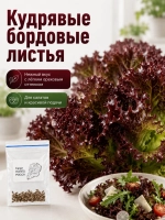 Семена салата Лолло Росса АГРОЛО профессиональные для гидропоники и грунта, листовой салат для дома и дачи