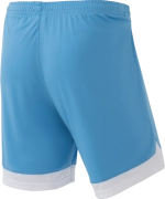 Шорты игровые DIVISION PerFormDRY Union Shorts, голубой/белый/белый