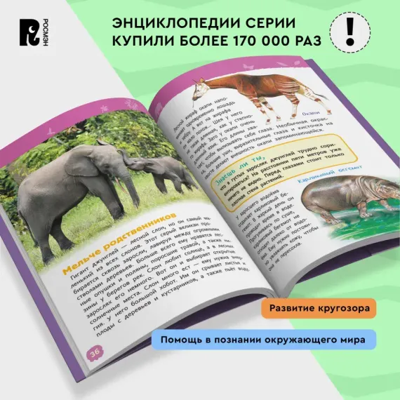 Джунгли