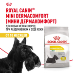 Royal Canin Mini Dermacomfort Мини Дермакомфорт Корм сухой для взрослых собак мелких пород для профилактики раздражения и зуда кожи 3кг