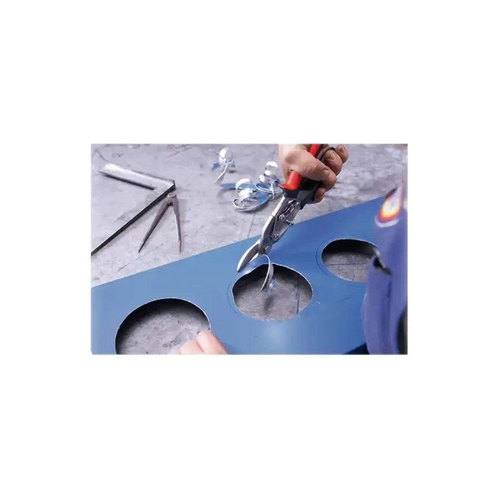 Фигурные ножницы BESSEY D16L