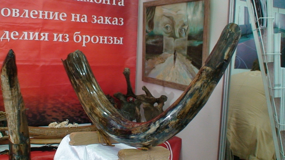 "Млечный путь", бивень мамонта