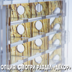 Crystal L 3.0 + колония Camponotus nicobarensis