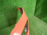 DSCN8454.JPG