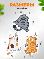 Прикольные наклейки на машину, коты