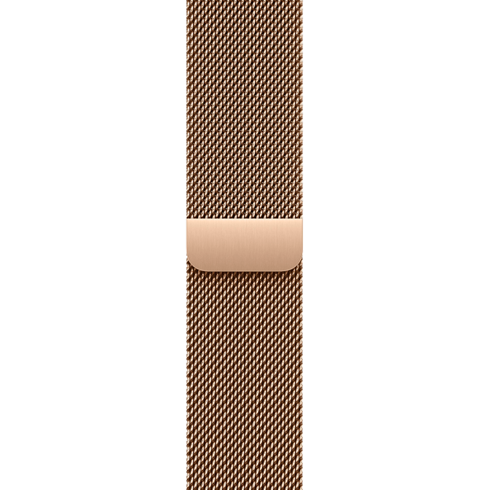 Умные часы Apple Watch Series 11 GPS + Cellular, 42mm, Natural Titanium Case with Gold Milanese Loop