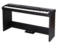 Medeli SP4000