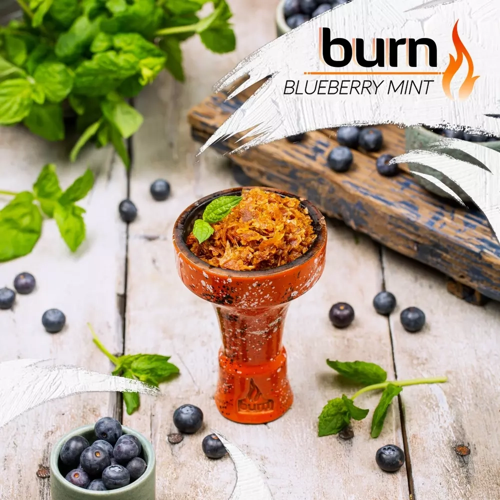 Burn - Blueberry Mint (25g)