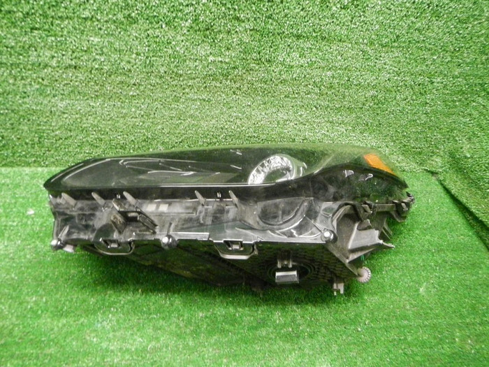DSCN8674.JPG