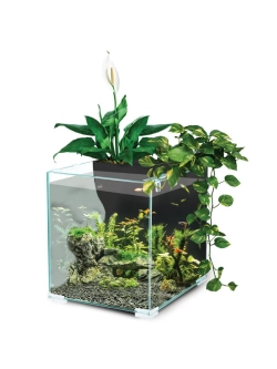 Аквариум Botanic 9,4л, 24,3*20,3*23,6см