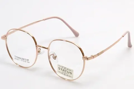 Очки для зрения с оправой Status 8325-1 c3 titan