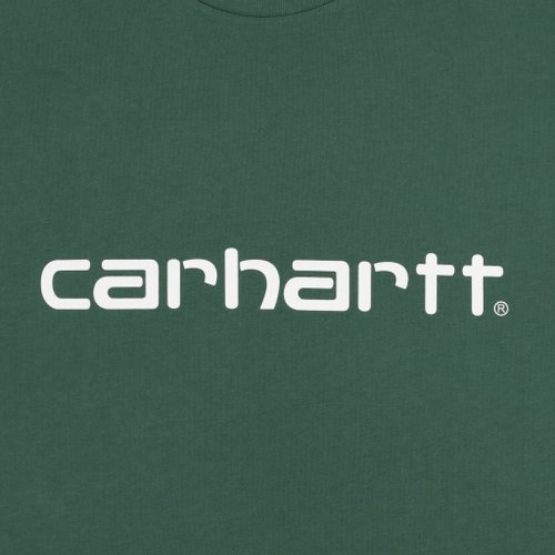 Футболка мужская Carhartt WIP Script артикул:I031047 - купить в магазине Дайс