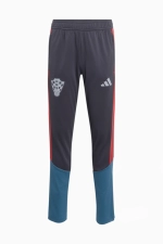 Штаны adidas Croatia 2026 Tiro Training Junior - серый