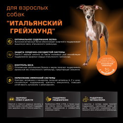Корм сухой для взрослых собак породы Итальянский грейхаунд, с индейкой, 800 гр, QUATTRO