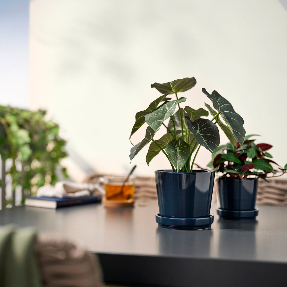IKEA FEJKA  (ИКЕА ФЕЙКА)  -  Искусственное растение в горшке - для дома/улицы алоказия 12 см