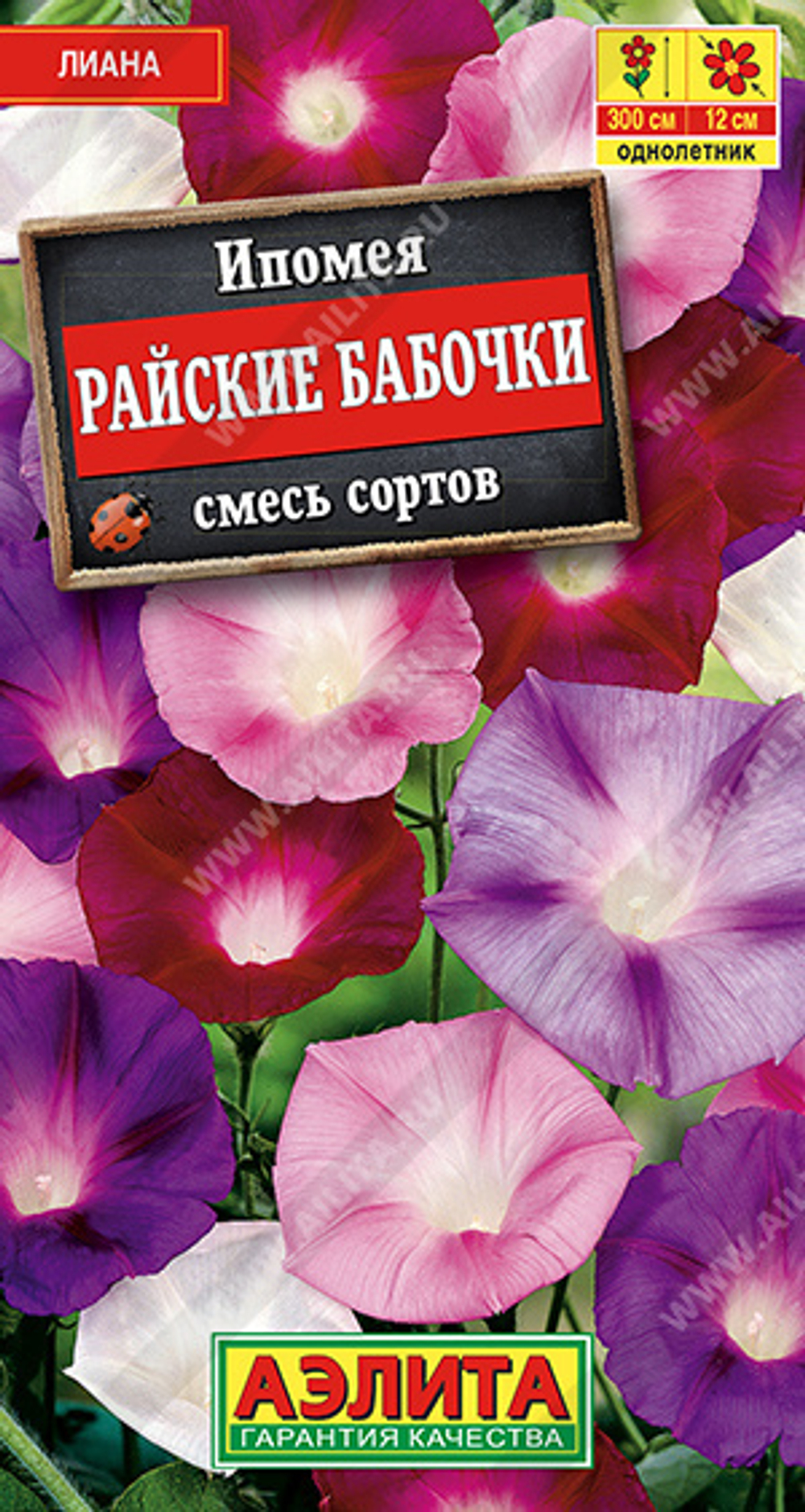 Ипомея Райские бабочки смесь сортов