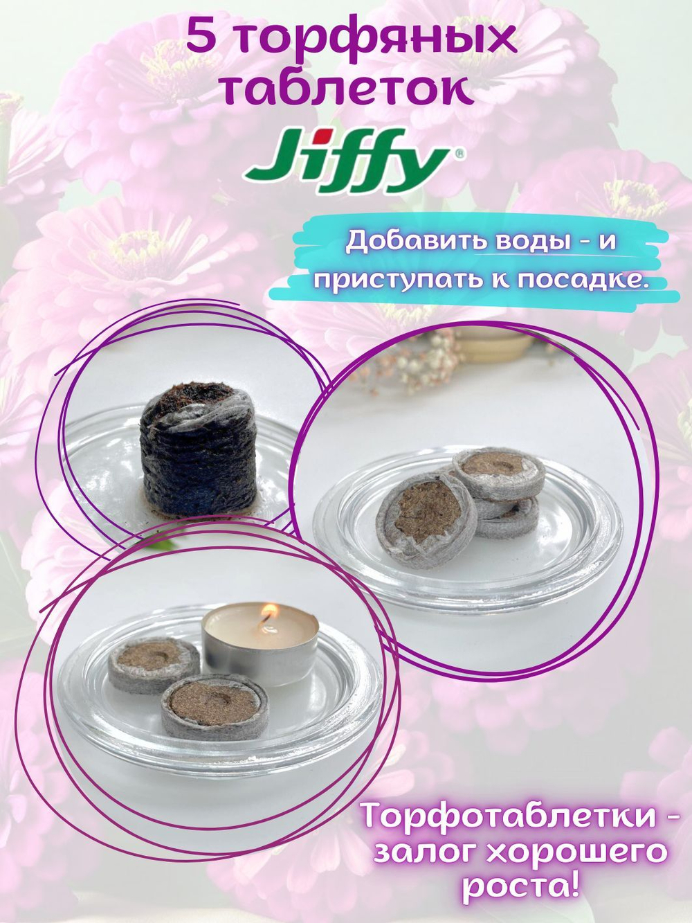Семена Цинния низкорослая, кустовая, розовая Джульетта, семена Циния + торфяные таблетки Jiffy в подарок, 5 шт