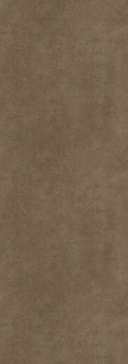FOKOS TERRA 100X300X3.5