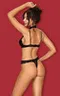 Claudusia teddy