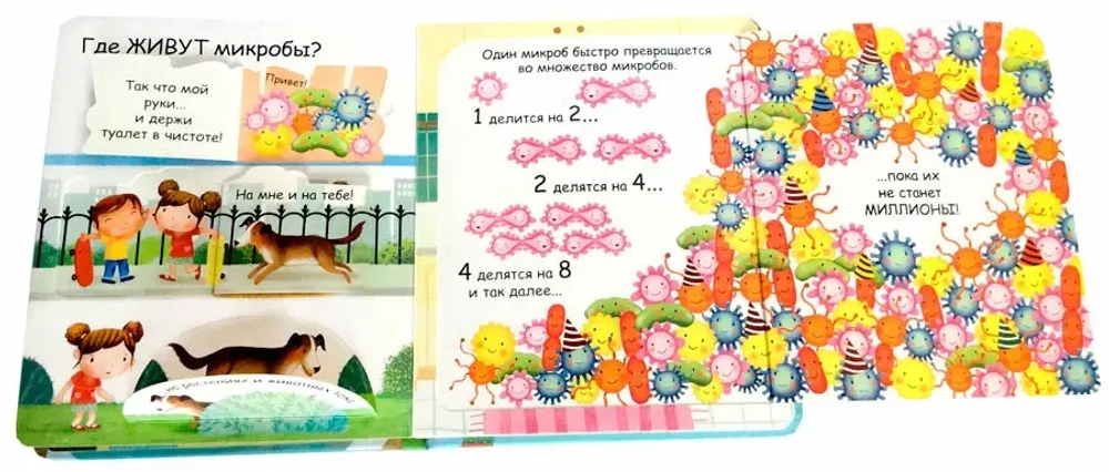 Самые первые окошки. Про микробы