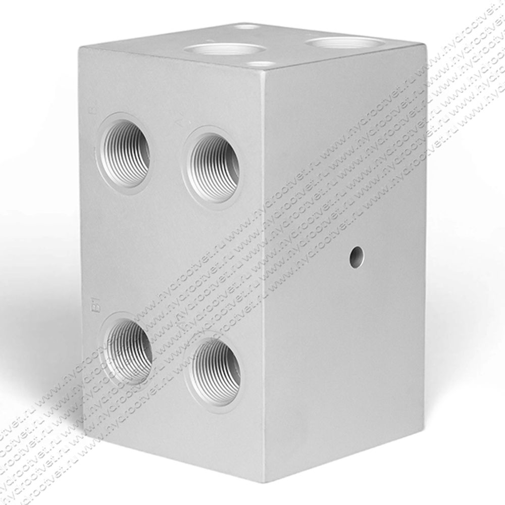 PD10-10A2-AL - двухместная плита для гидравлических распределителей и клапанов NG10