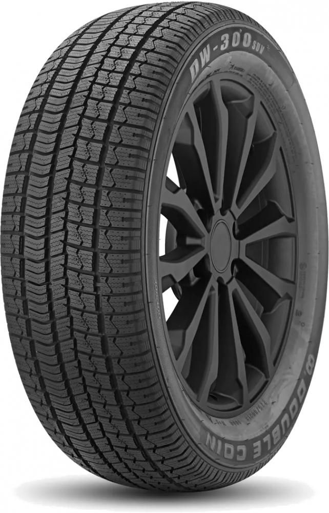 Double Coin DW300 205/55 R16 94V