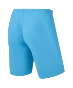 Шорты игровые CAMP Classic Shorts, голубой
