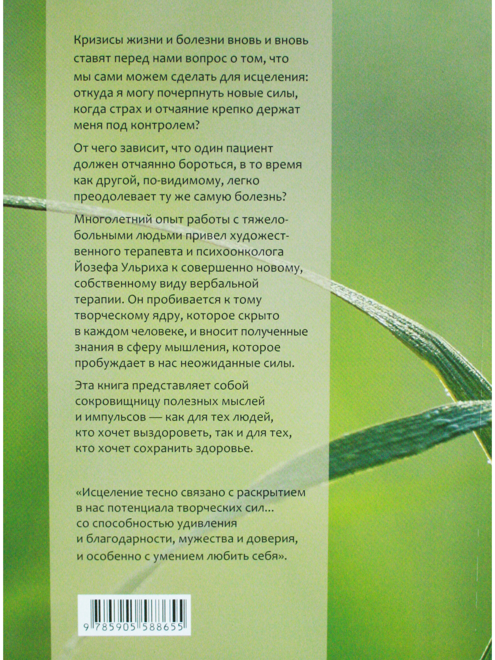 Силы самоисцеления. Источники здоровья и качества жизни