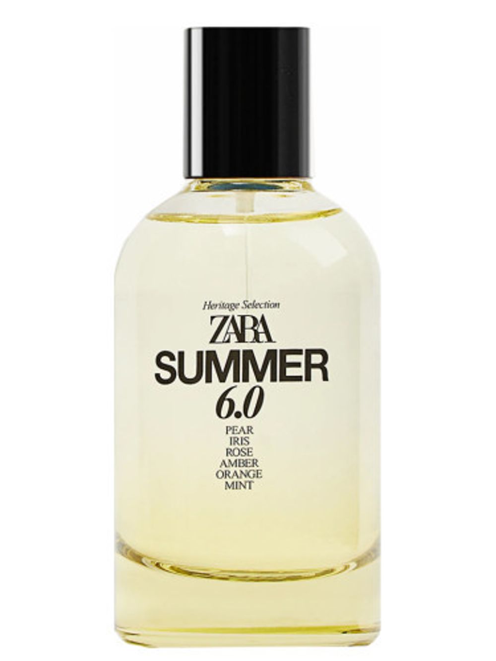 Zara Summer 6.0